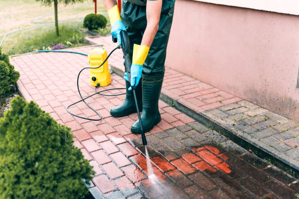 Best Roof Power Washing Services  in Eaton, IN