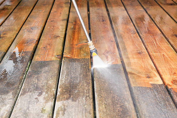 Best Roof Pressure Washing  in Eaton, IN